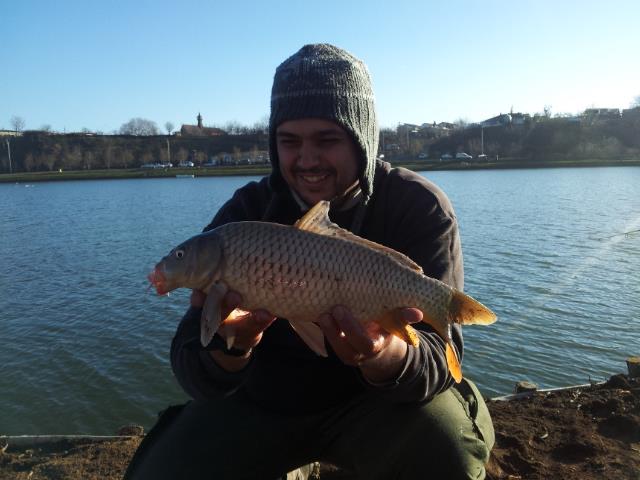 Floarea Popestiului 11 - 11 ian.